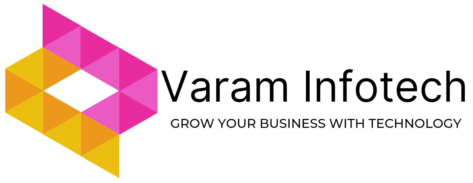 Varam Infotech Logo